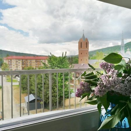Apartament Gromadzyn 39 Устшики-Дольне Экстерьер фото